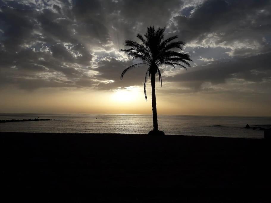 Central Estepona 3 Bed Apt With Pool And Parking Dış mekan fotoğraf